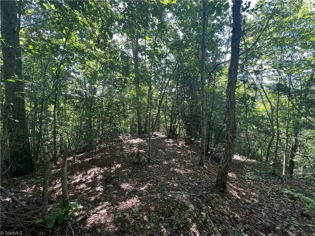 $77,500 | 0 Gentry Road, Danbury, NC 27016