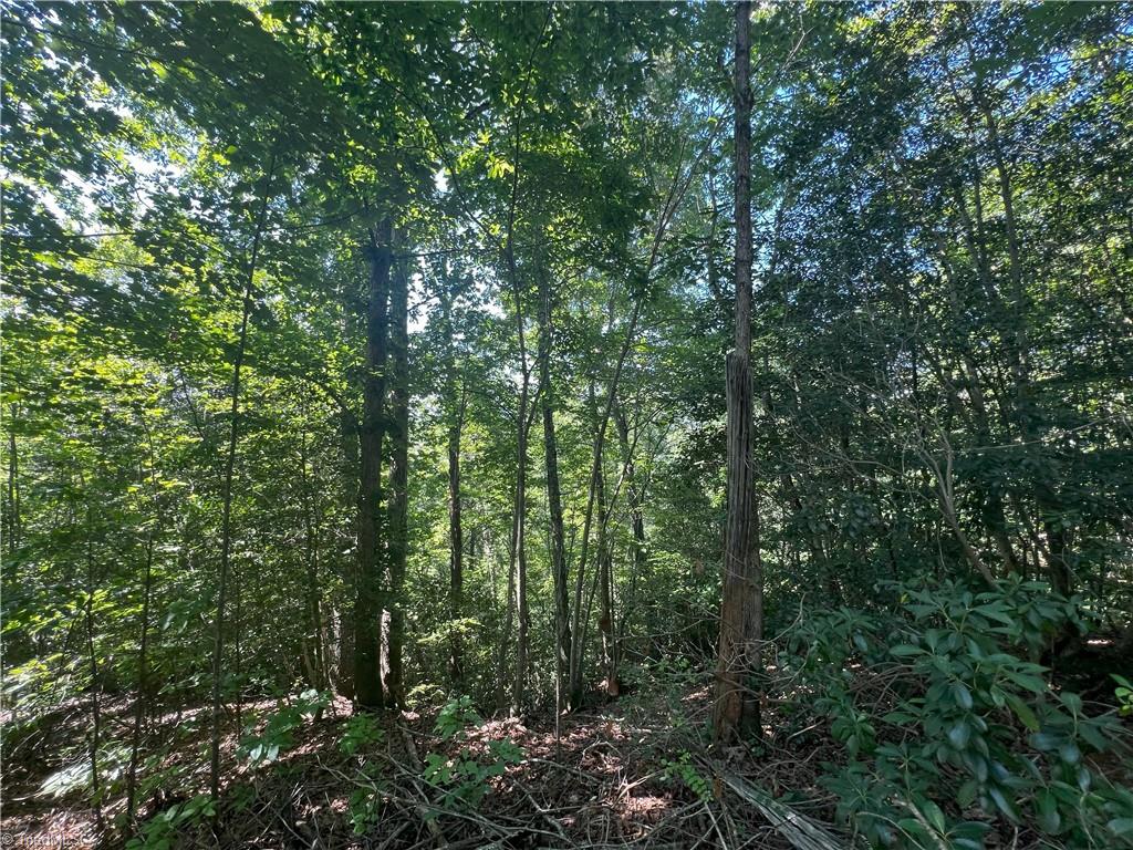 0 Gentry Road Danbury, NC 27016 - Photo 19 of 34