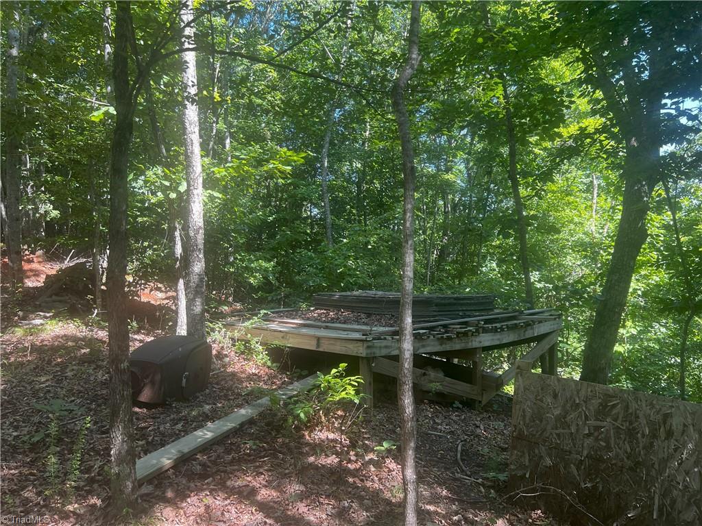 0 Gentry Road Danbury, NC 27016 - Photo 20 of 34