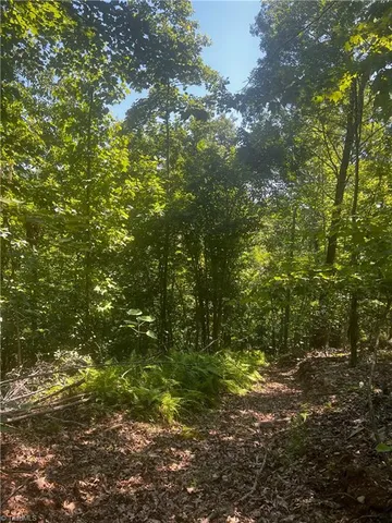 $77,500 | 0 Gentry Road, Danbury, NC 27016