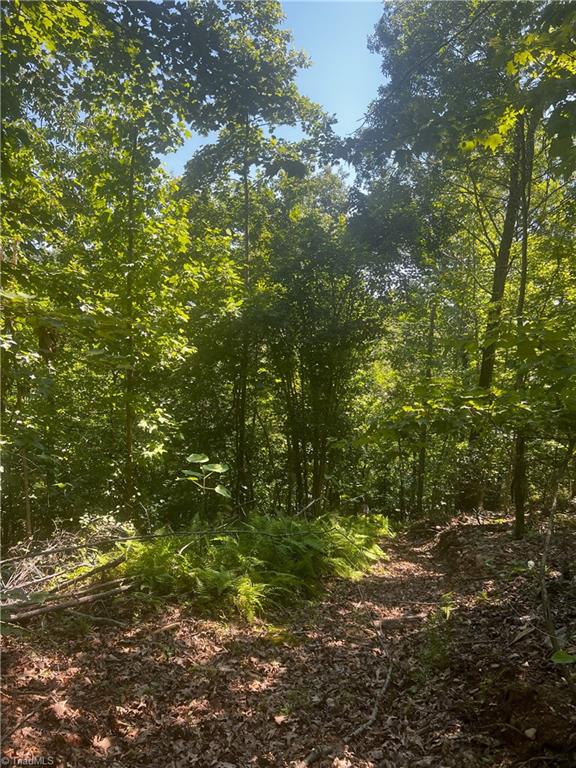 0 Gentry Road Danbury, NC 27016 - Photo 21 of 34