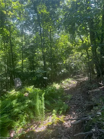 $77,500 | 0 Gentry Road, Danbury, NC 27016