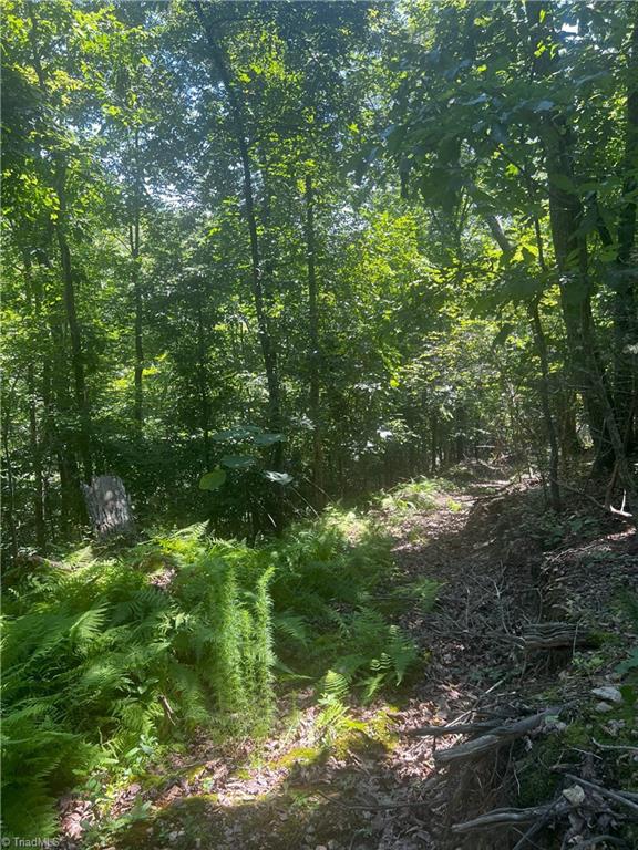 0 Gentry Road Danbury, NC 27016 - Photo 22 of 34