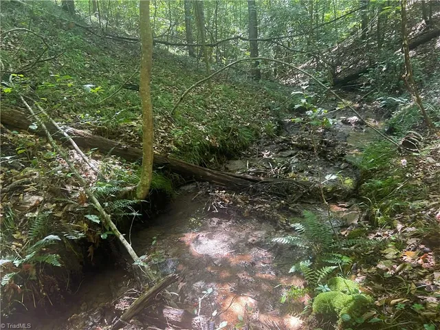 $77,500 | 0 Gentry Road, Danbury, NC 27016