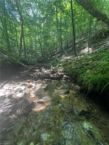 $77,500 | 0 Gentry Road, Danbury, NC 27016