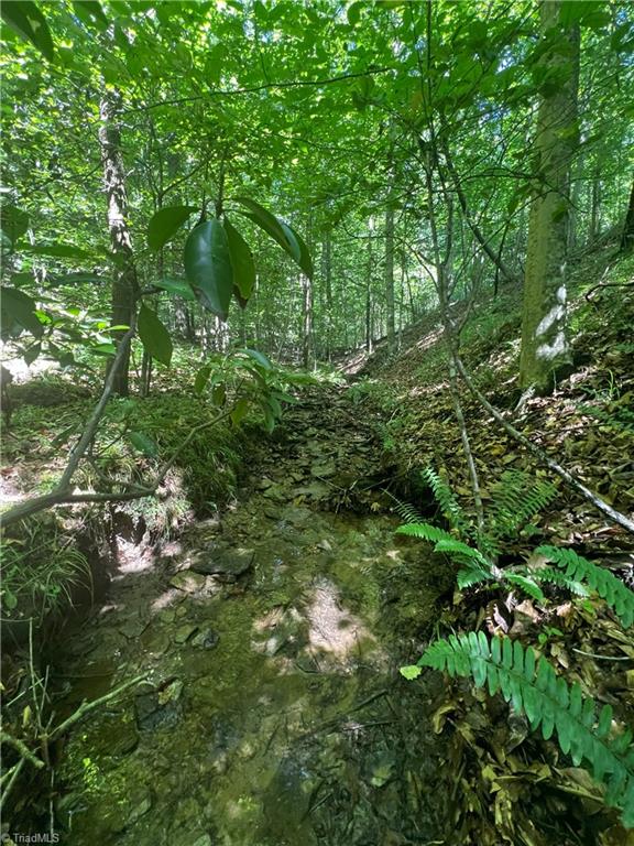 0 Gentry Road Danbury, NC 27016 - Photo 25 of 34