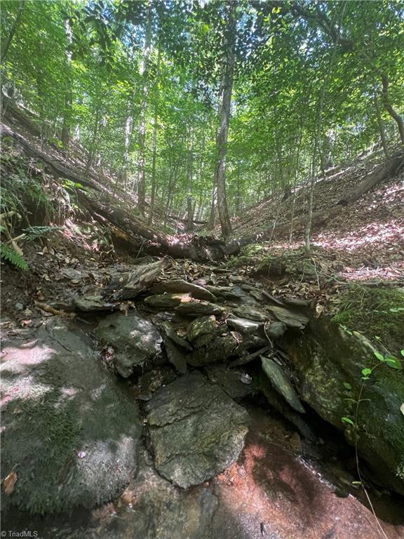 0 Gentry Road Danbury, NC 27016 - Photo 27 of 34