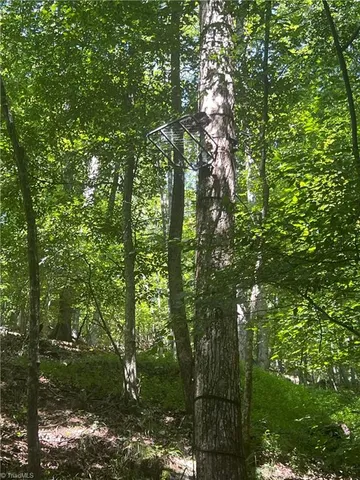 $77,500 | 0 Gentry Road, Danbury, NC 27016