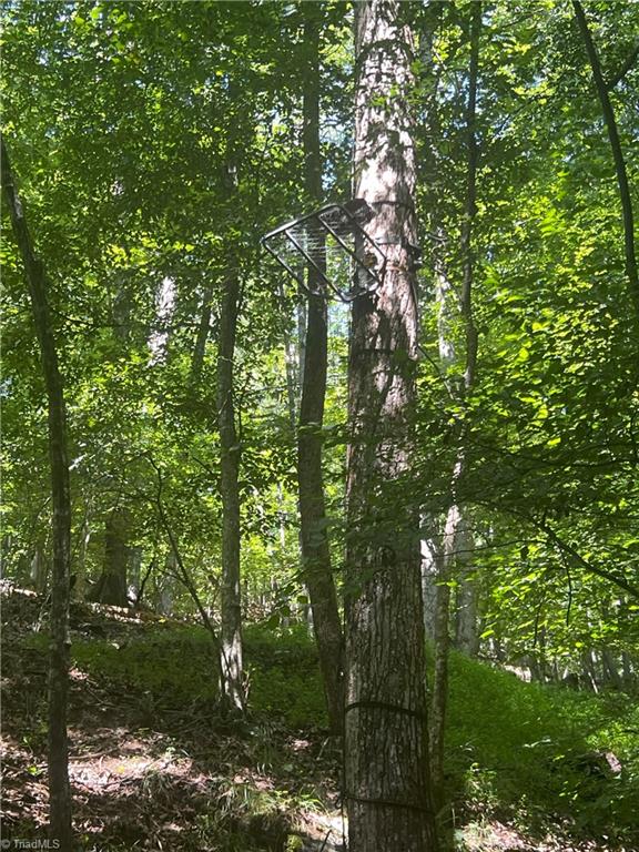 0 Gentry Road Danbury, NC 27016 - Photo 29 of 34