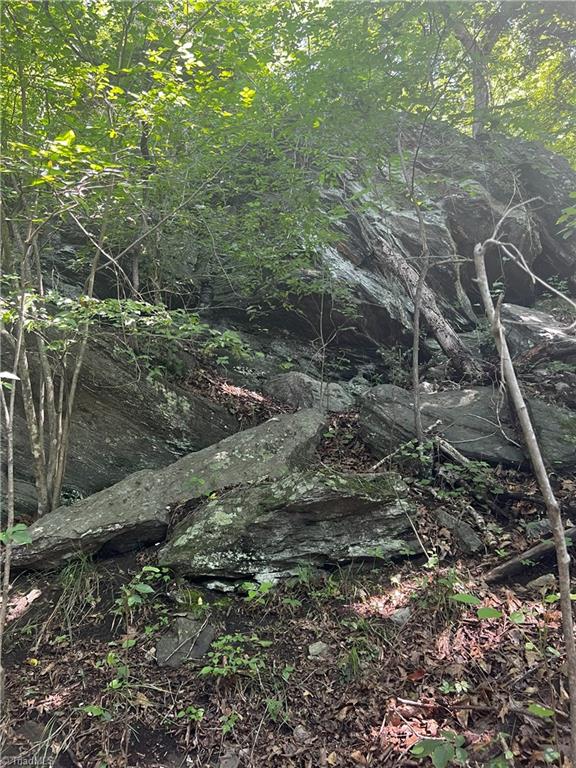 0 Gentry Road Danbury, NC 27016 - Photo 30 of 34