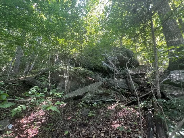 $77,500 | 0 Gentry Road, Danbury, NC 27016