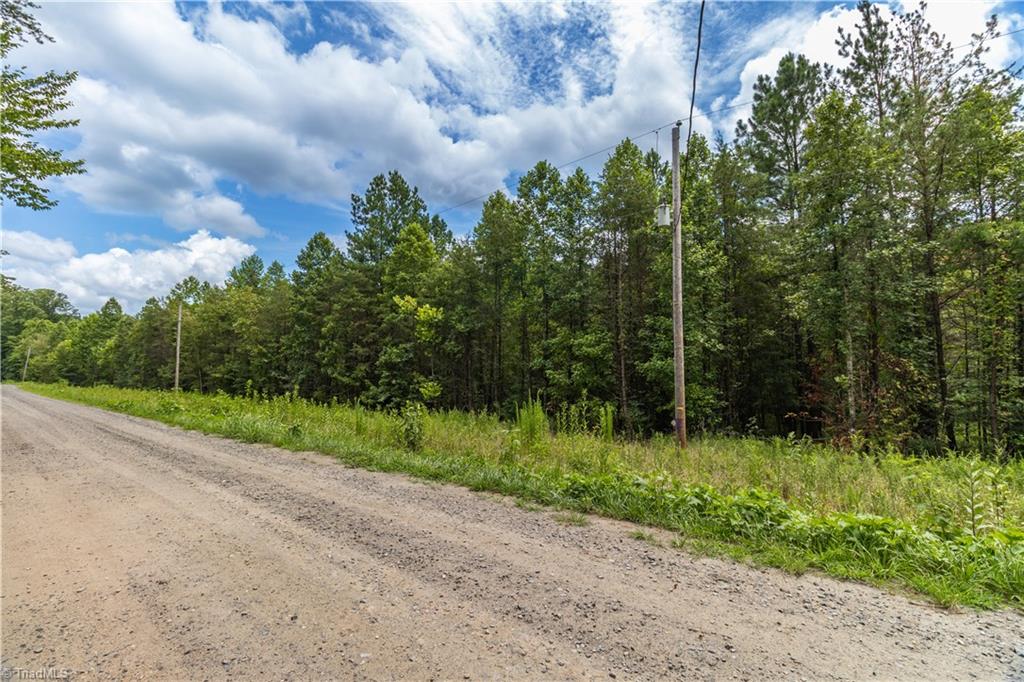 0 Gentry Road Danbury, NC 27016 - Photo 7 of 34