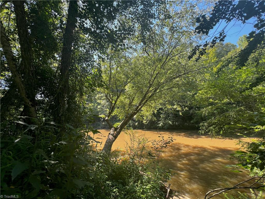 0 Gentry Road Danbury, NC 27016 - Photo 9 of 34