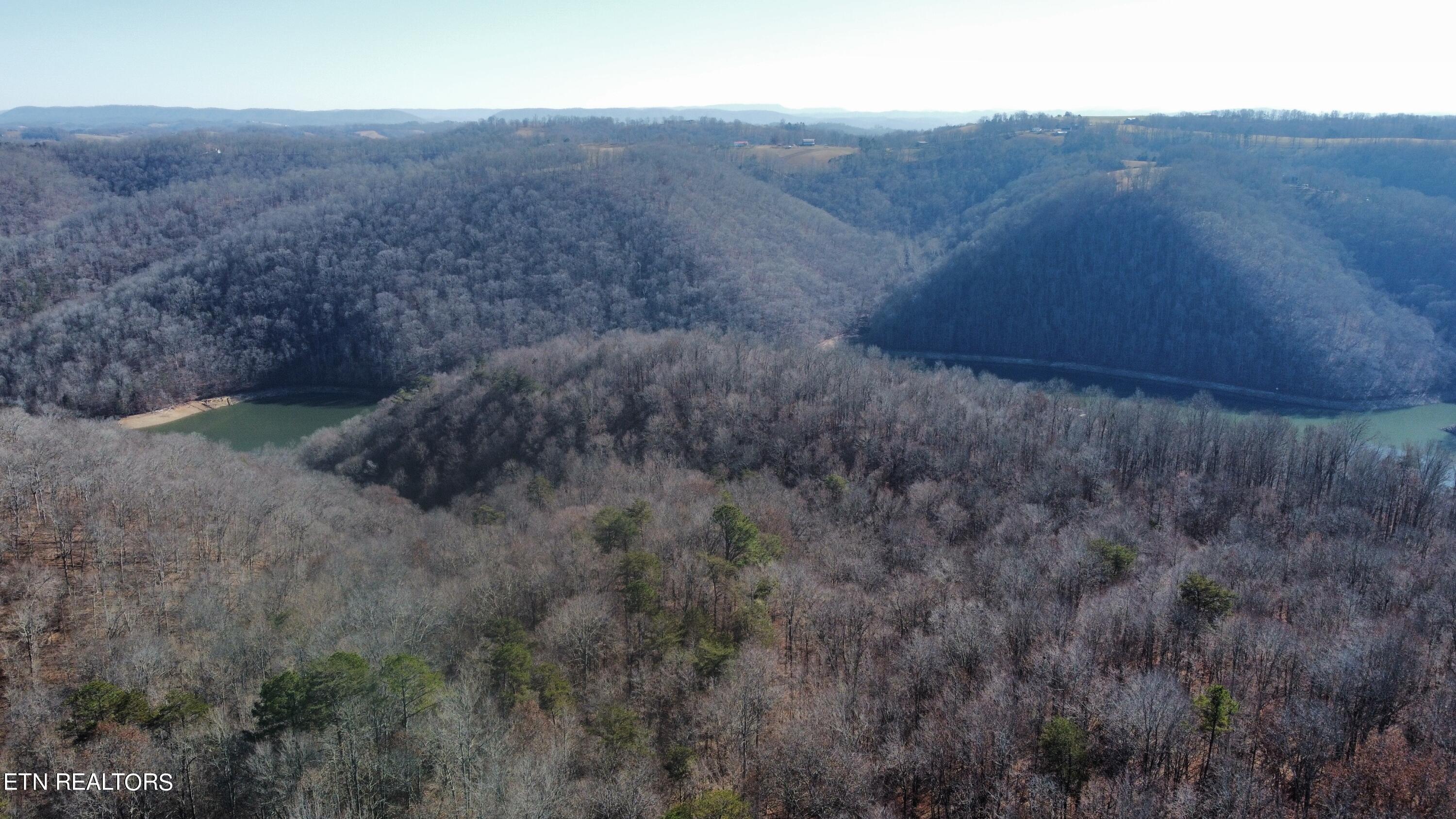 Lot 3 Jones Ridge Road Speedwell, TN 37870 - Photo 3 of 9 778E7DB9-32D6-47AB-B282-F36256CA545E