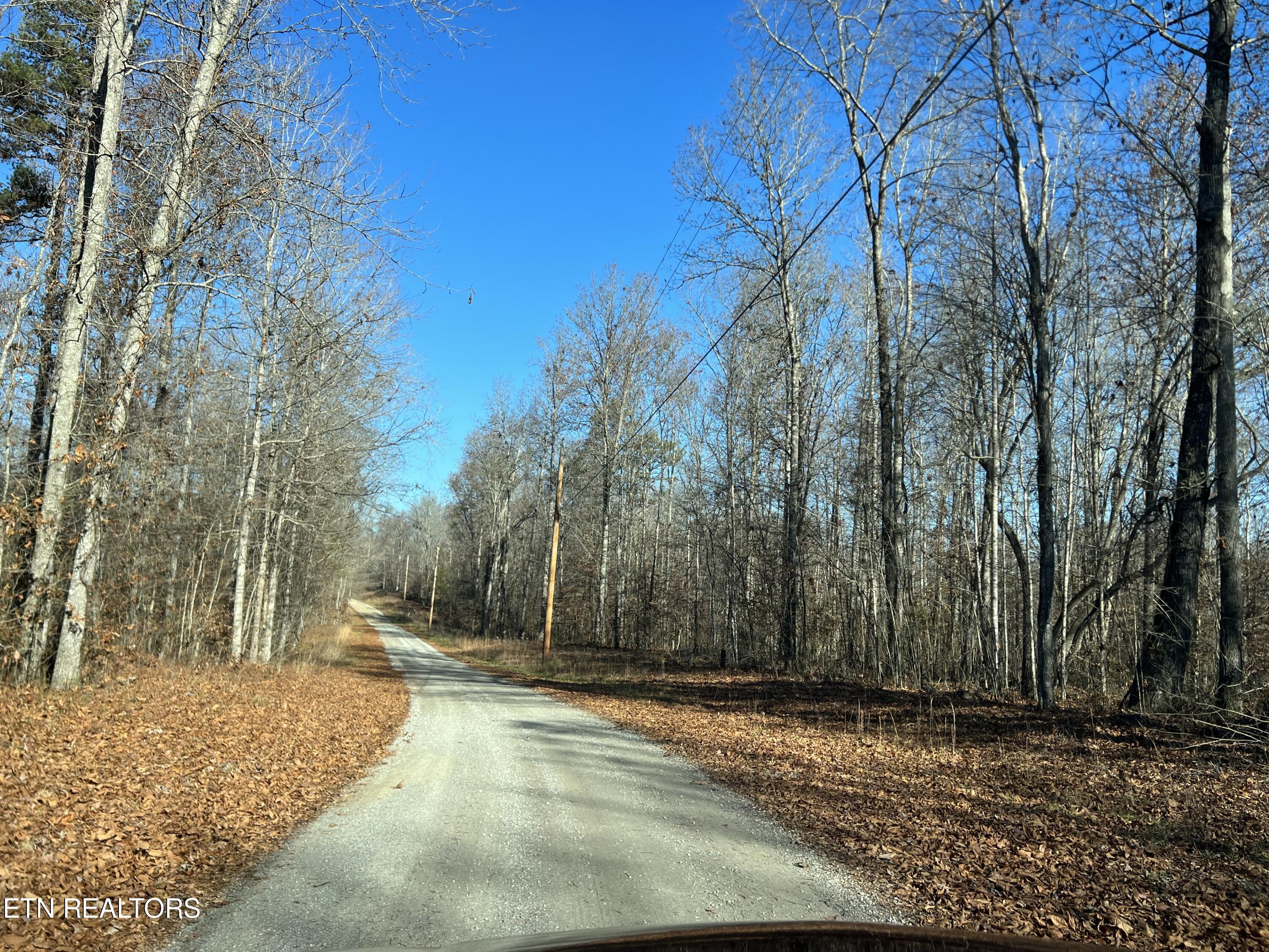 Lot 3 Jones Ridge Road Speedwell, TN 37870 - Photo 9 of 9 38DB8C42-572B-487D-95A3-C65EBA953436
