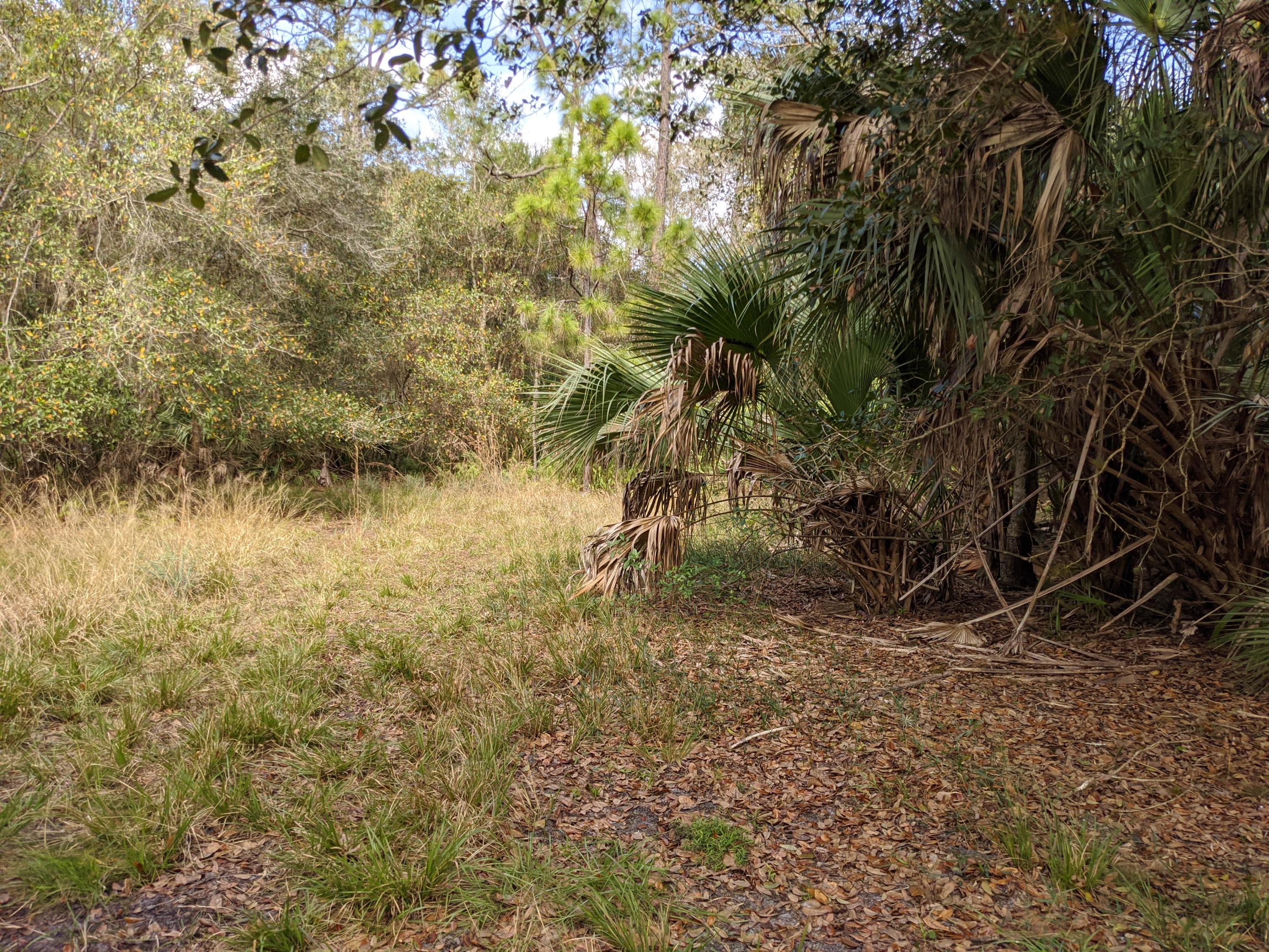 7851 Southwest Fox Brown Road Indiantown, FL 34956 - Photo 27 of 67 IMG_20210109_113620