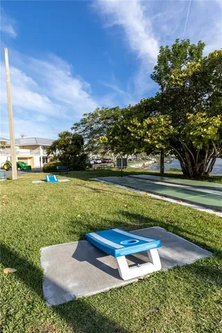 a view of a tennis ground with a large trees