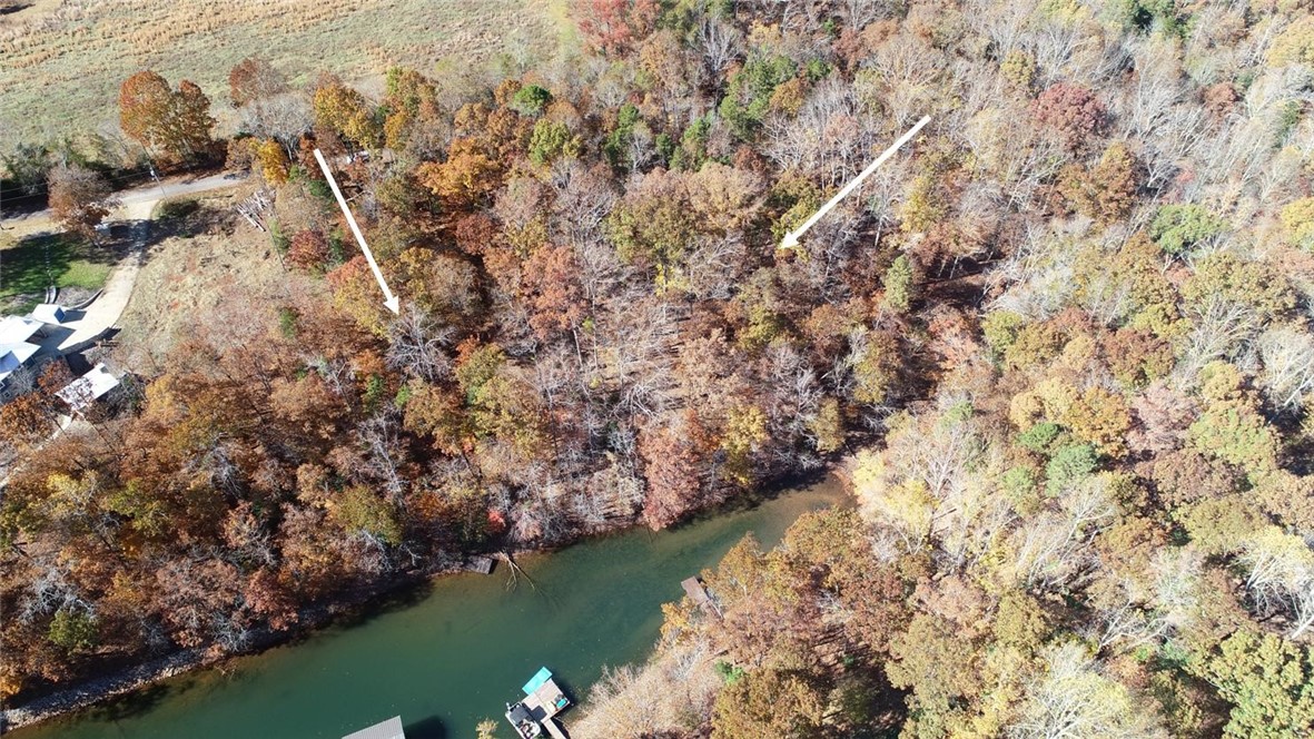 0 Perry Circle Townville, SC 29689 - Photo 3 of 5 Wooded lot/s