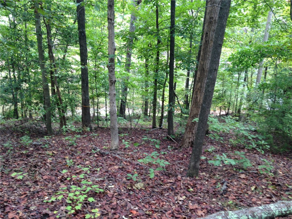 0 Perry Circle Townville, SC 29689 - Photo 5 of 5 Slope to water