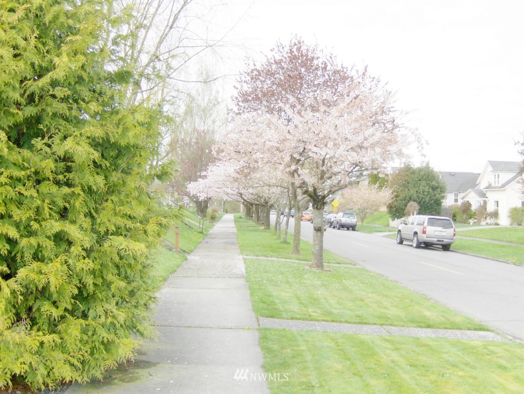 3632 Rockefeller Avenue Everett, WA 98201 - Photo 5 of 5