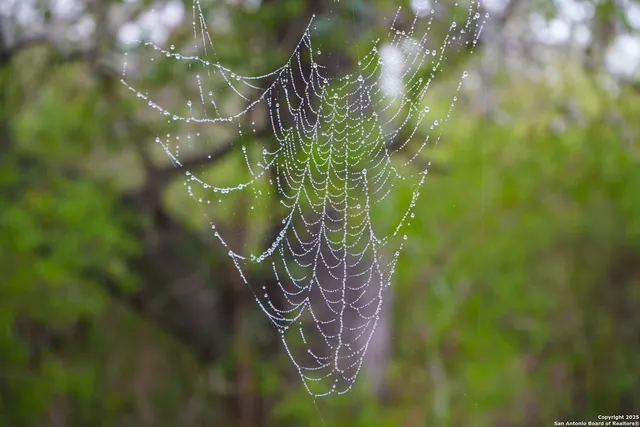 a view of lake with houses