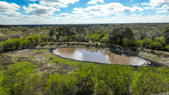 a view of a yard with an umbrella