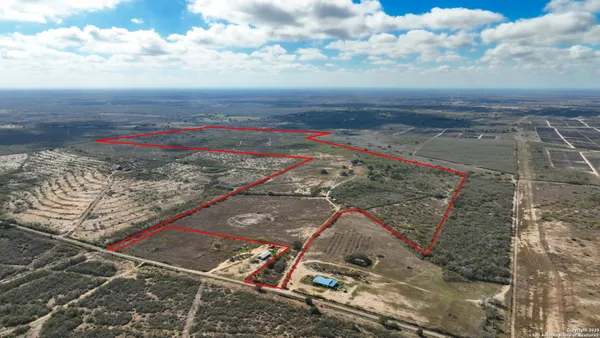 a view of a pathway both side of yard