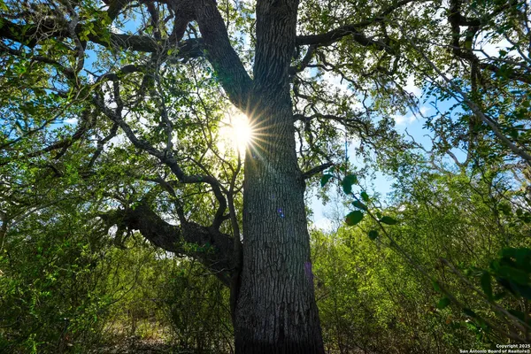 a view of a door with wooden floor