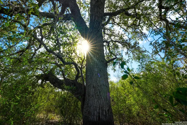 a view of a door with wooden floor