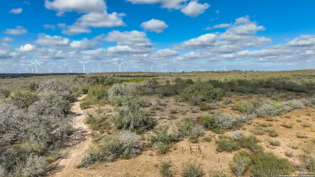 $1,731,665 | 0 Cr 115 Mineral Tx 78119, Kenedy, TX 78119