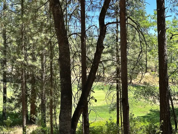 a view of a golf course