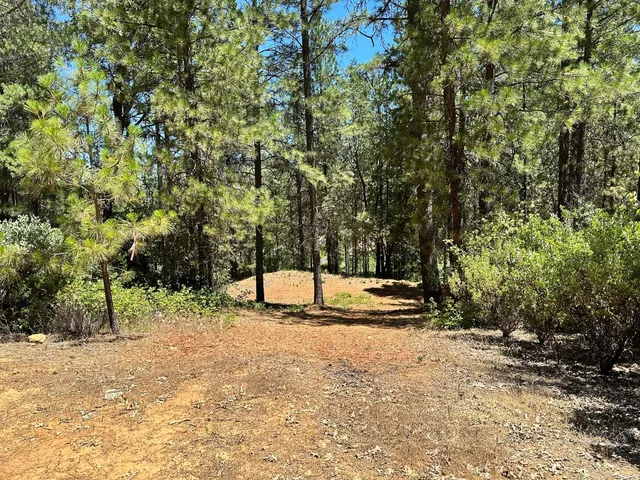 a view of a yard with a tree
