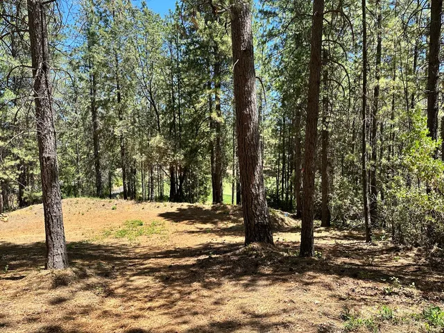 a view of a yard with trees