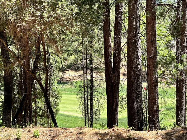 a view of a yard covered in snow
