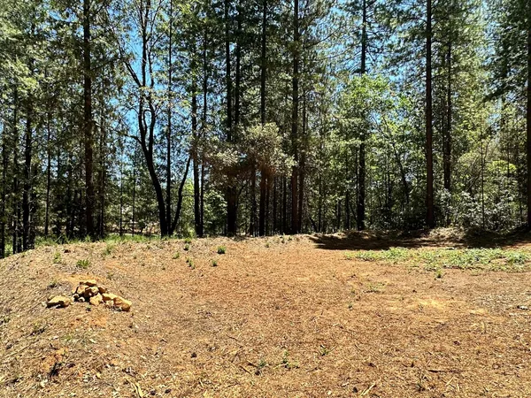 a view of snow on the side of a road