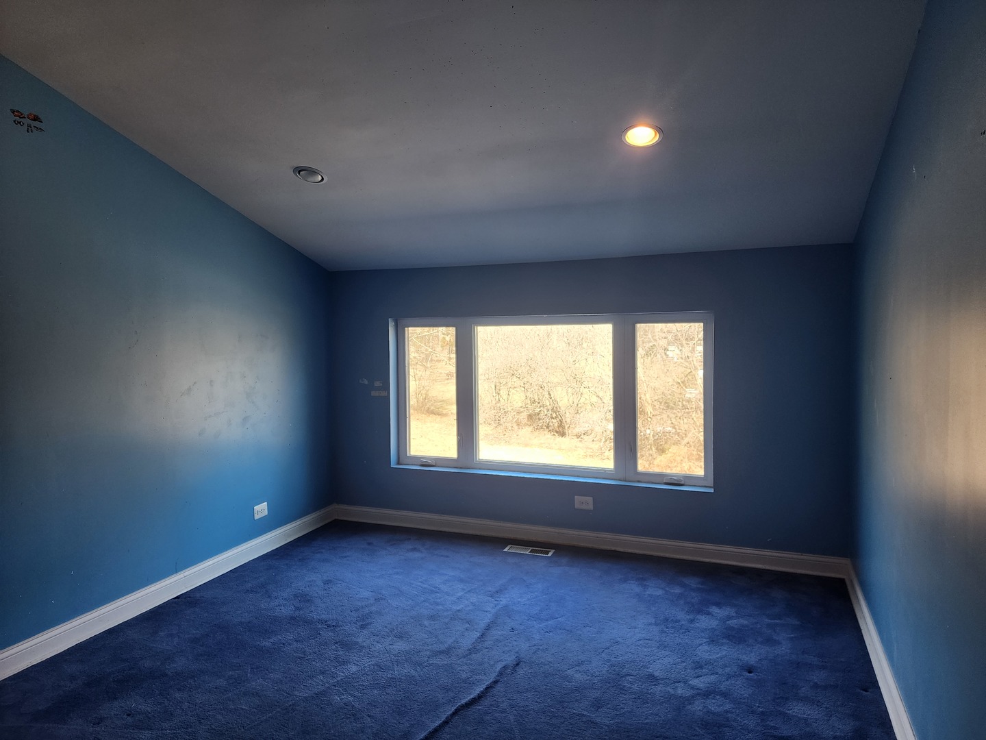 1820 Princeton Road Flossmoor, IL 60422 - Photo 9 of 18