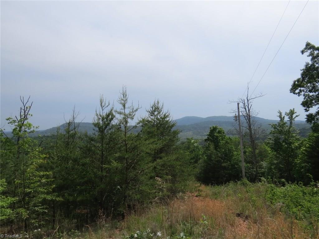 450 Fox Mountain Road Hiddenite, NC 28636 - Photo 1 of 30 Gallery Image 1