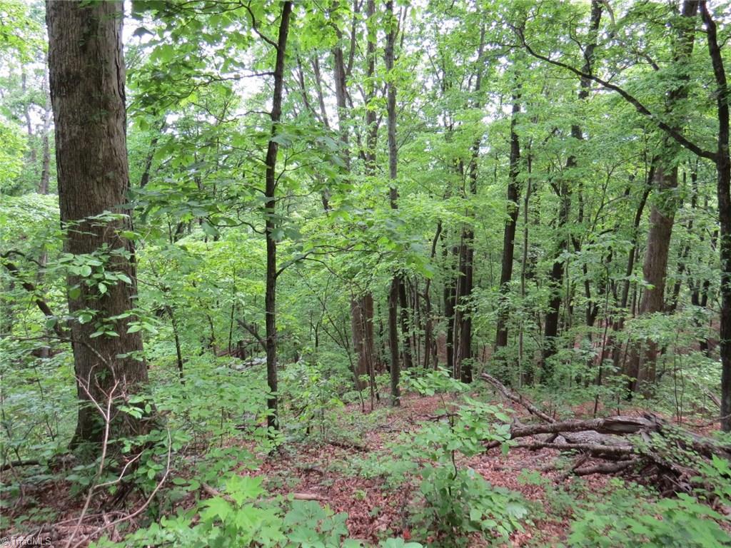 450 Fox Mountain Road Hiddenite, NC 28636 - Photo 2 of 30 Gallery Image 2