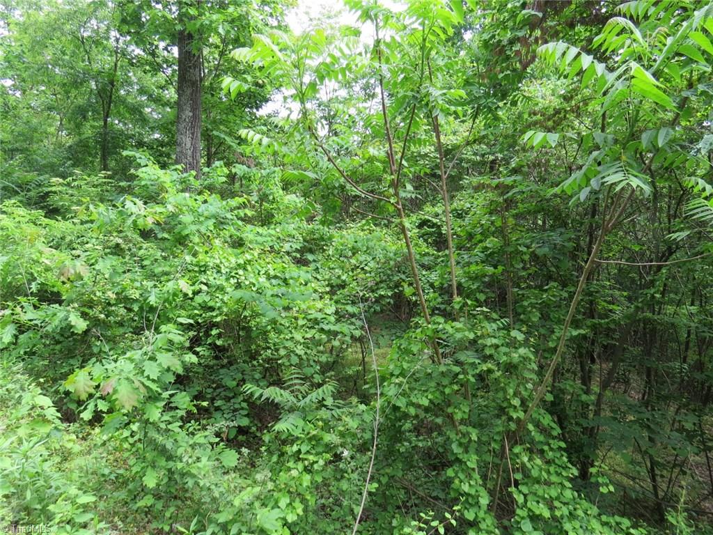 450 Fox Mountain Road Hiddenite, NC 28636 - Photo 11 of 30 Gallery Image 11
