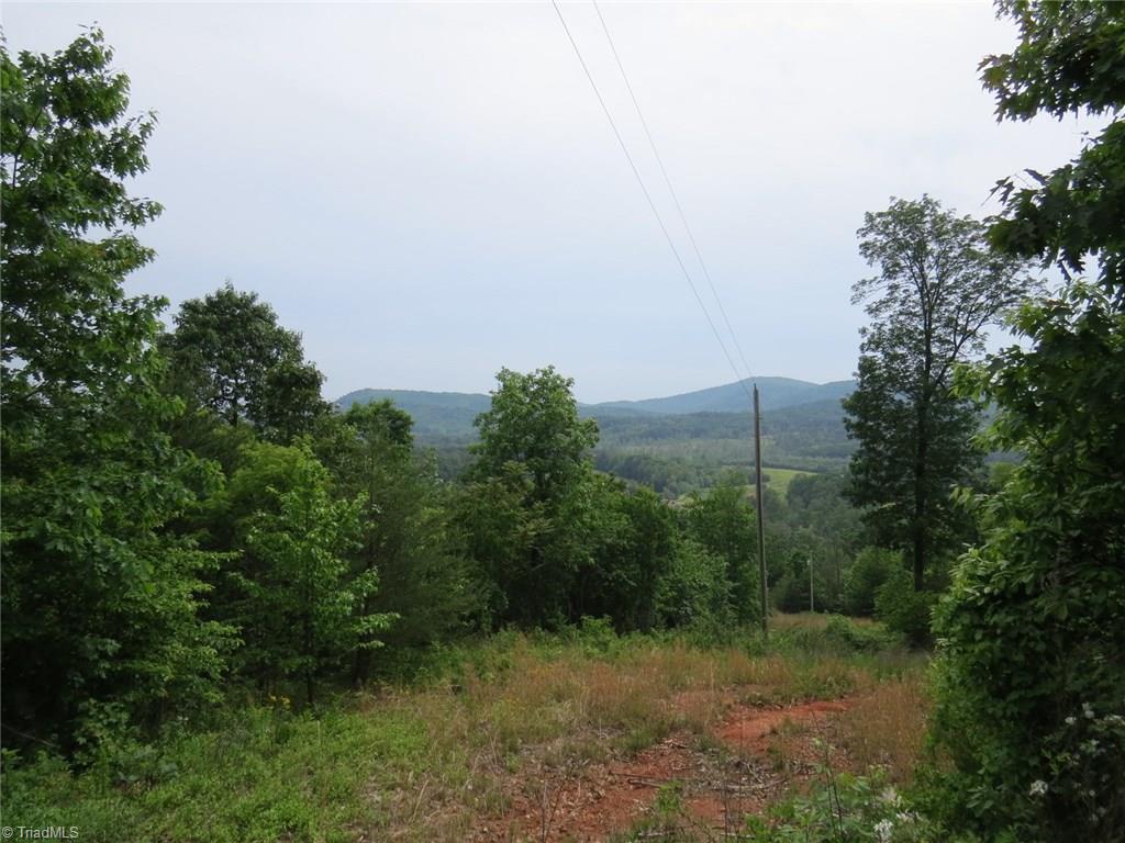 450 Fox Mountain Road Hiddenite, NC 28636 - Photo 13 of 30 Gallery Image 13