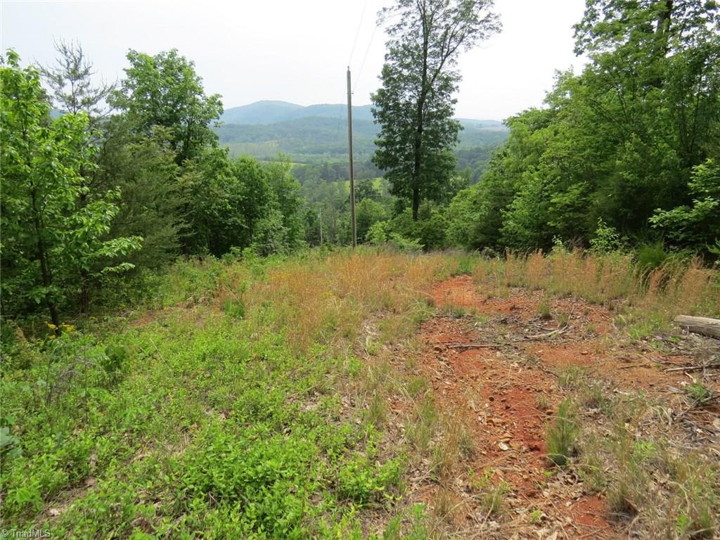 450 Fox Mountain Road Hiddenite, NC 28636 - Photo 15 of 30 Gallery Image 15