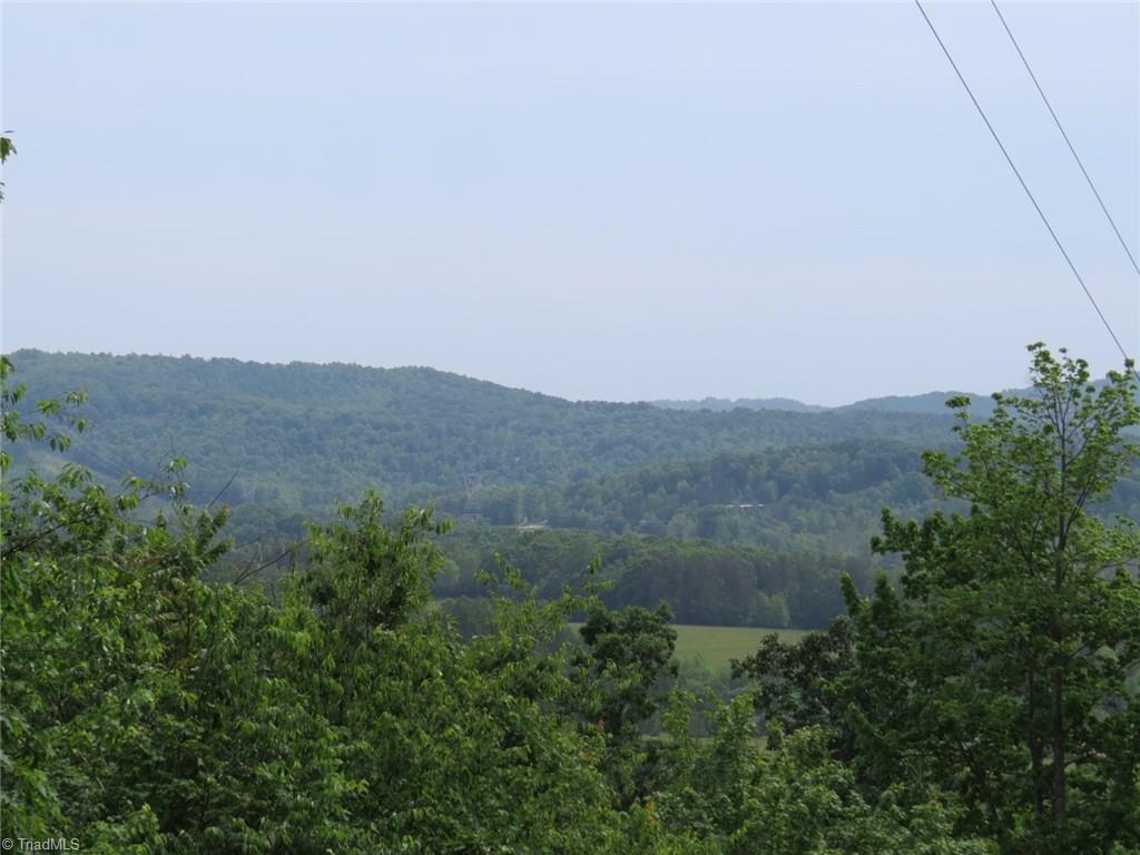 450 Fox Mountain Road Hiddenite, NC 28636 - Photo 16 of 30 Gallery Image 16