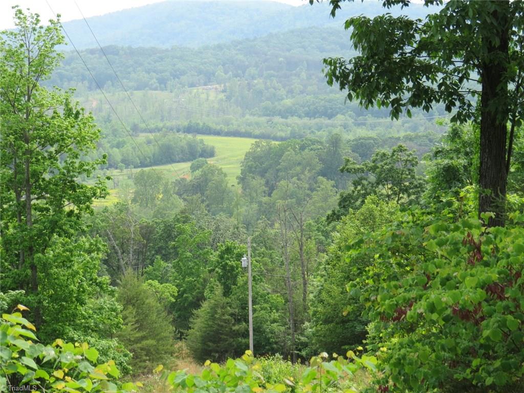 450 Fox Mountain Road Hiddenite, NC 28636 - Photo 17 of 30 Gallery Image 17