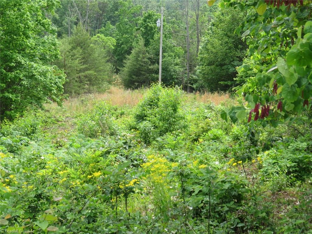 450 Fox Mountain Road Hiddenite, NC 28636 - Photo 18 of 30 Gallery Image 18