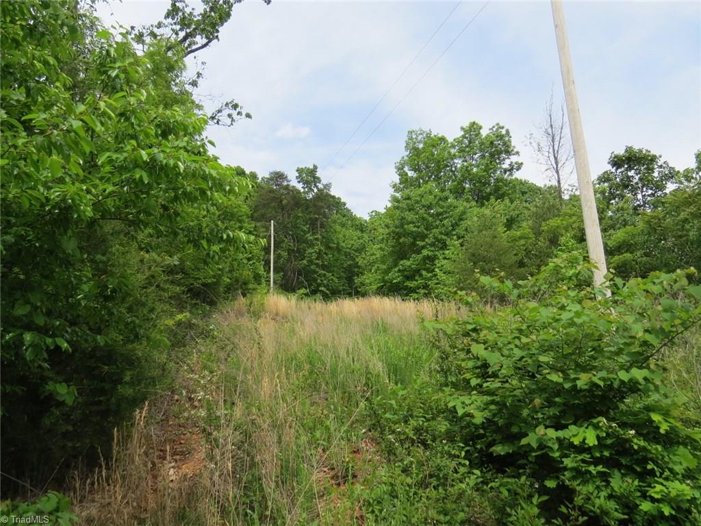 450 Fox Mountain Road Hiddenite, NC 28636 - Photo 19 of 30 Gallery Image 19