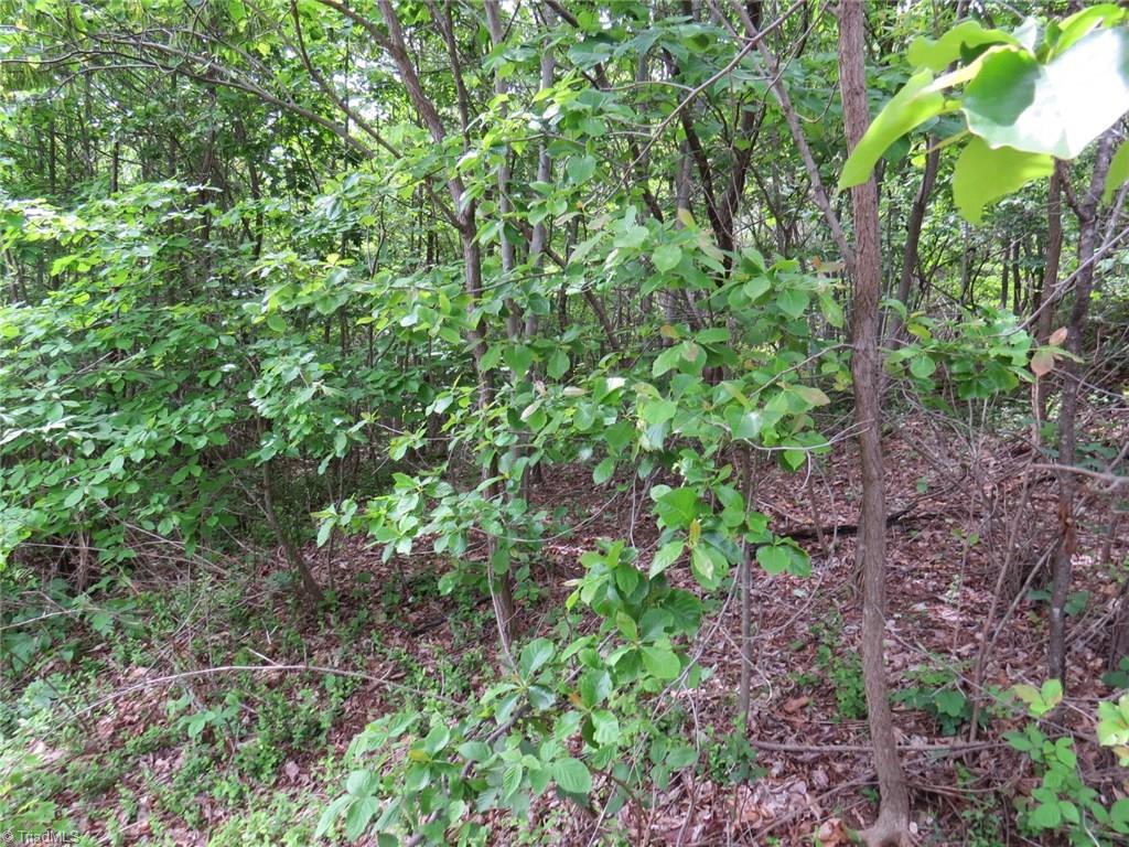 450 Fox Mountain Road Hiddenite, NC 28636 - Photo 20 of 30 Gallery Image 20