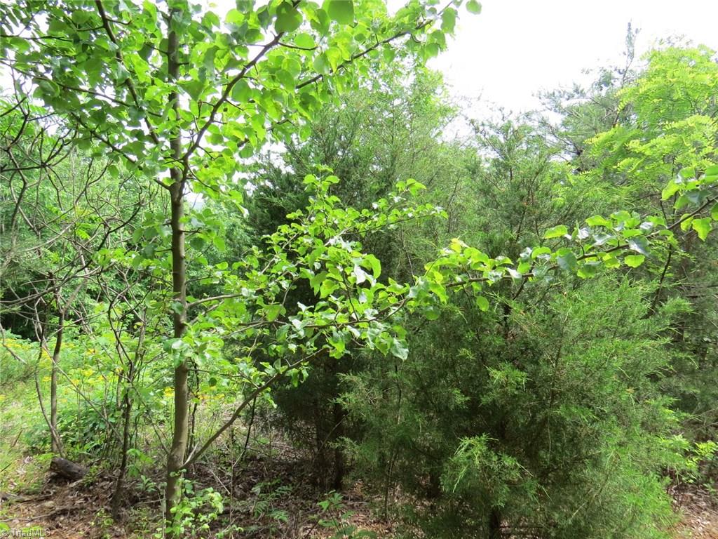 450 Fox Mountain Road Hiddenite, NC 28636 - Photo 21 of 30 Gallery Image 21