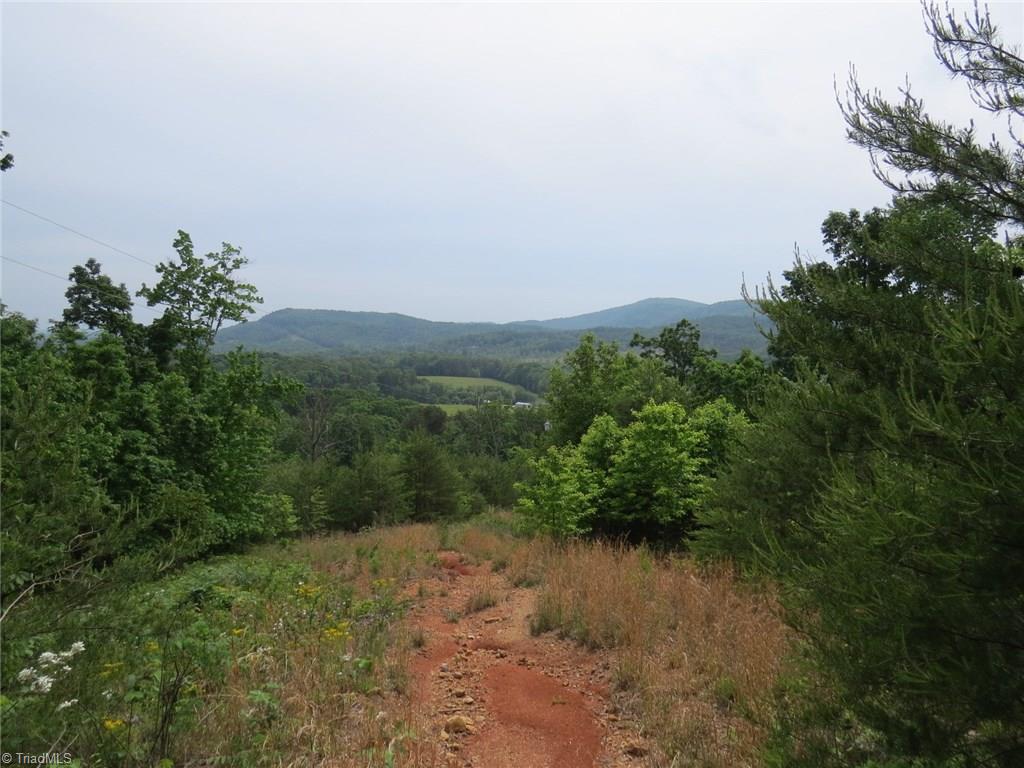 450 Fox Mountain Road Hiddenite, NC 28636 - Photo 23 of 30 Gallery Image 23