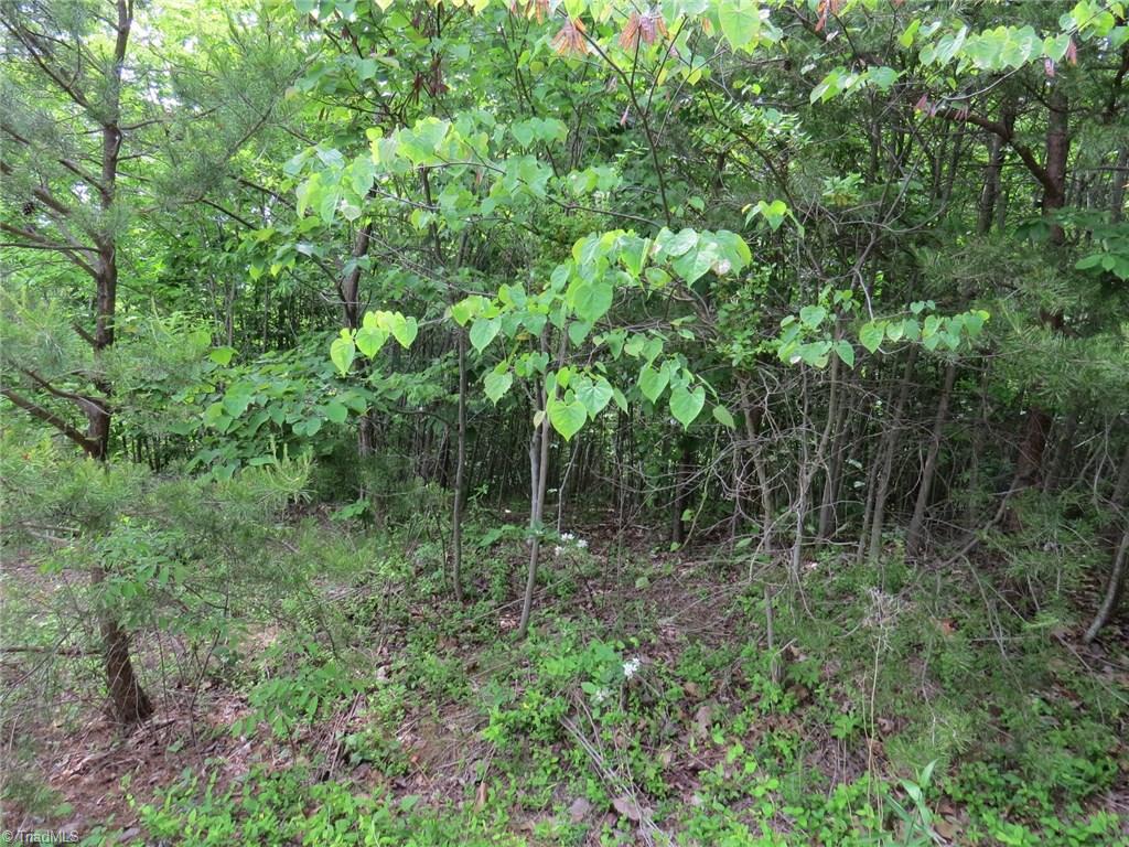 450 Fox Mountain Road Hiddenite, NC 28636 - Photo 24 of 30 Gallery Image 24