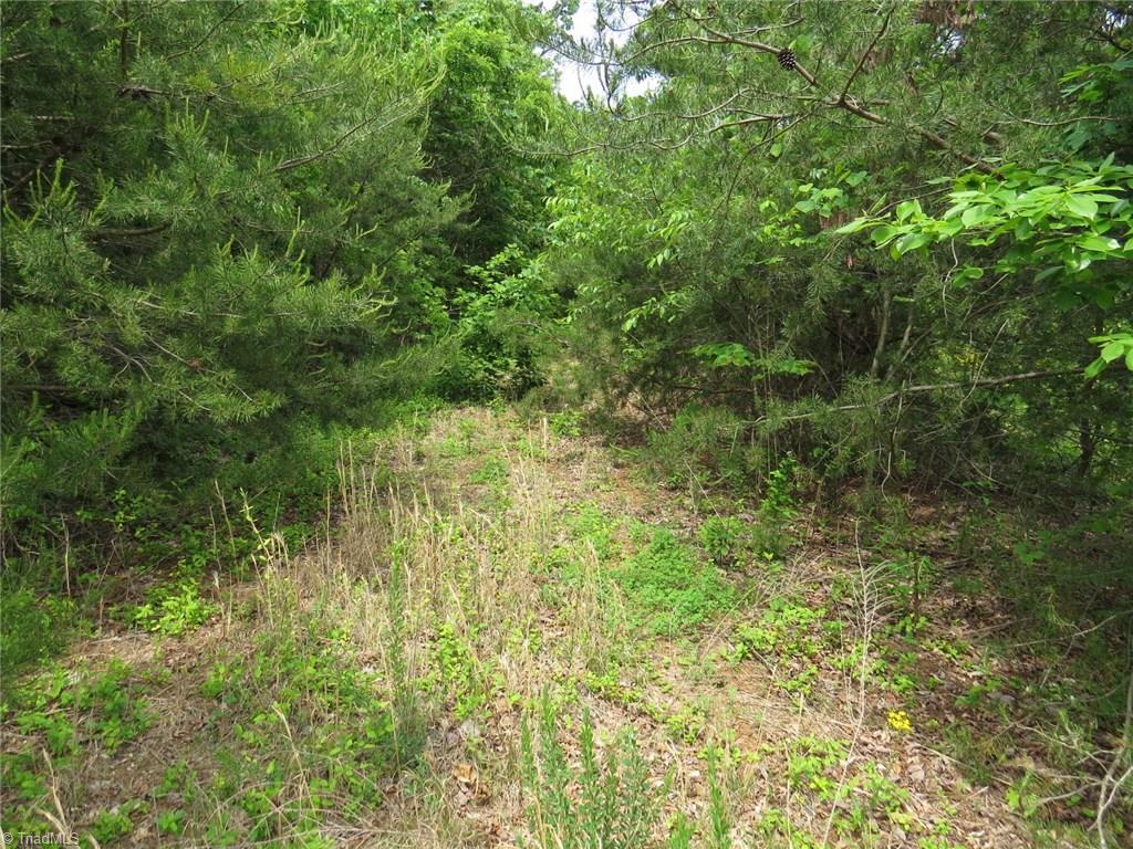 450 Fox Mountain Road Hiddenite, NC 28636 - Photo 25 of 30 Gallery Image 25